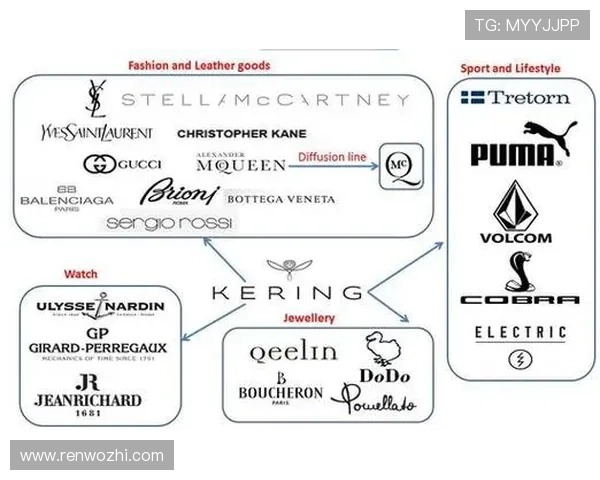 开云集团品牌合作与联名策略对品牌影响力的促进作用