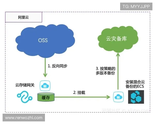 揭示开云中国站背后的市场策略与运营模式
